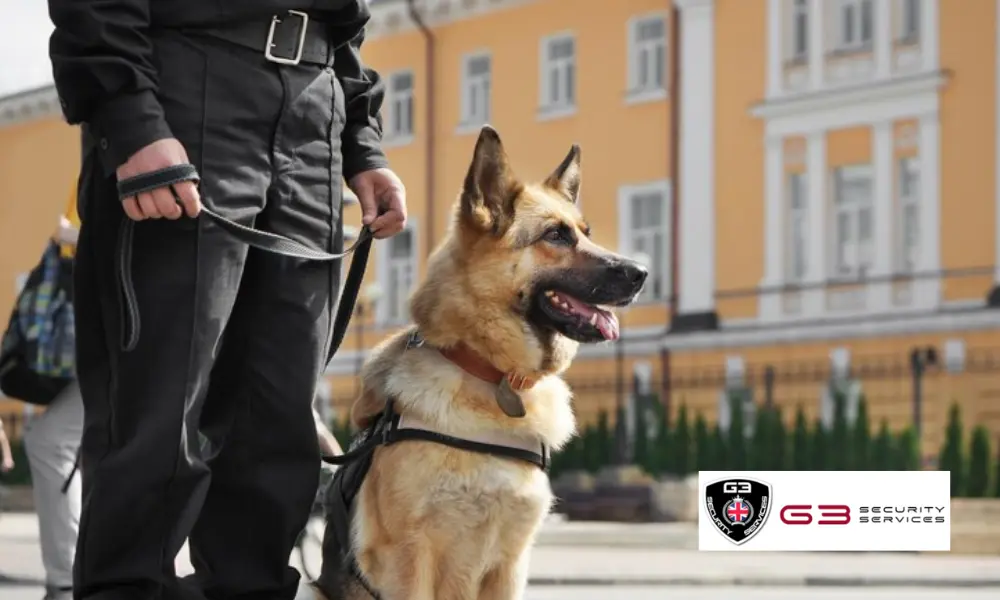 Advantages of Hiring K9 Dog Security in London